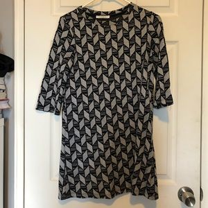 Zara Trafaluc Mini Dress